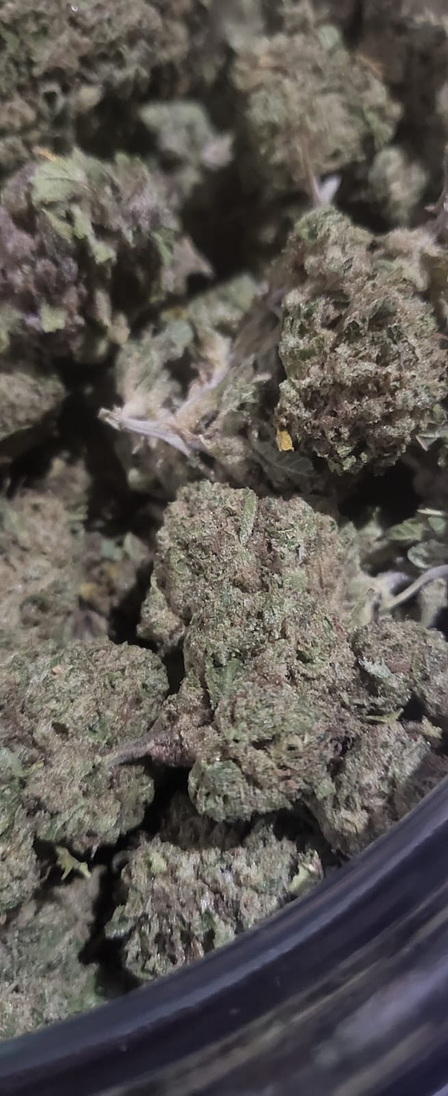 Peanut Butter Breath