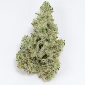 Cap Junky (Hybrid)