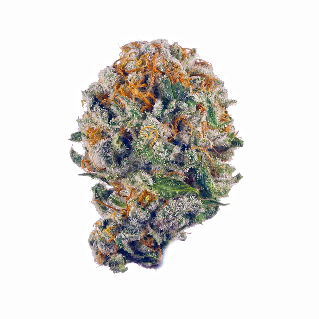 Blueberry Muffin
