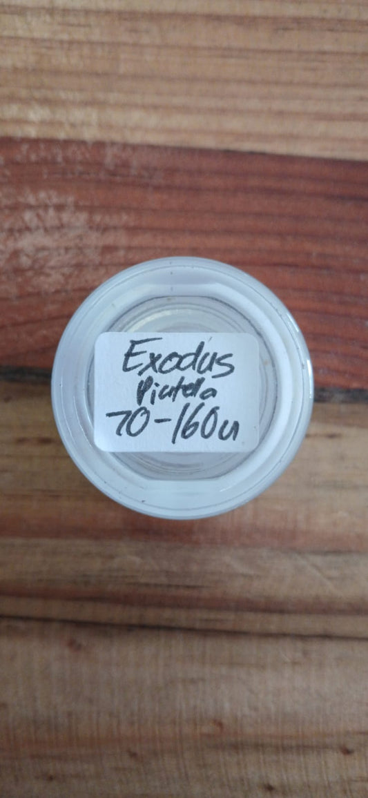 Exodus Piatella 1g