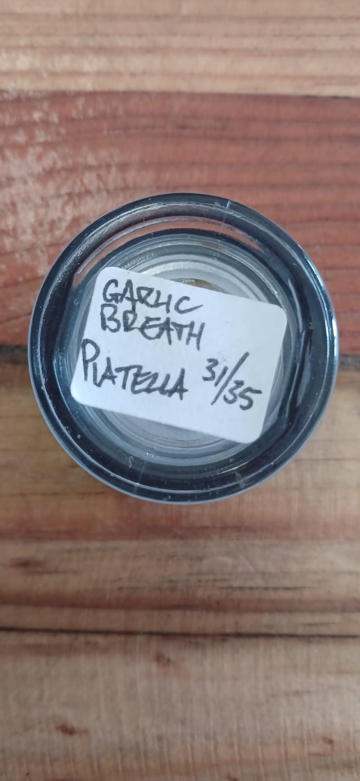 Garlic Breath Piatella 1g