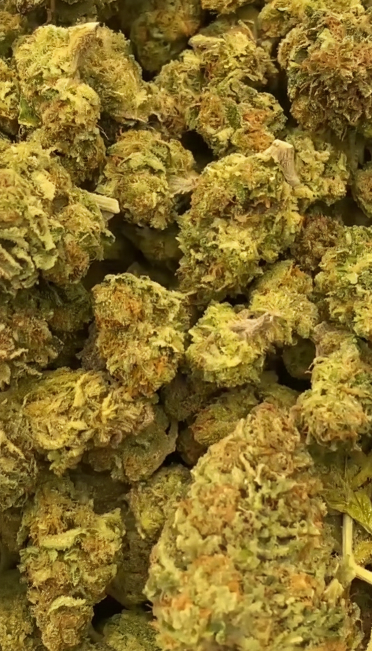 Franco’s Lemon Cheese