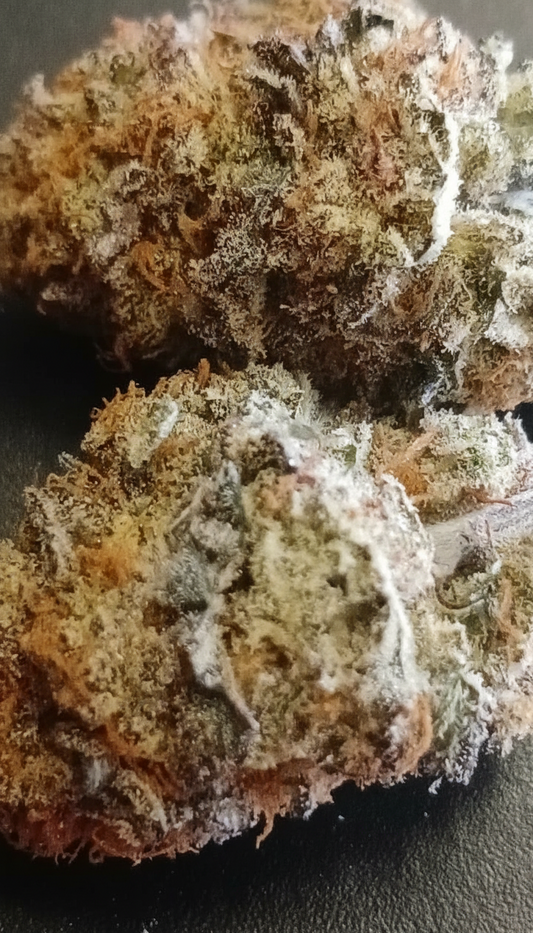 Blockberry