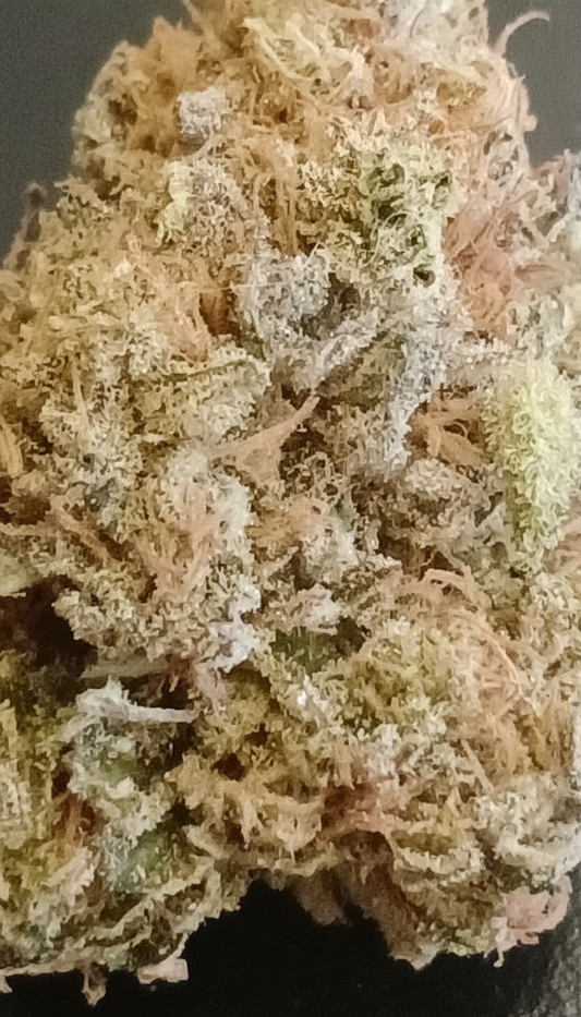 Blue Dream (Organic)