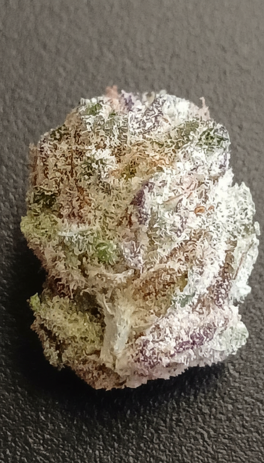 Cherry Gar-See-Ya (Organic)