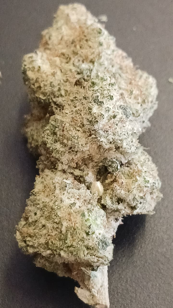 Strawberry OG Cookies (Organic)